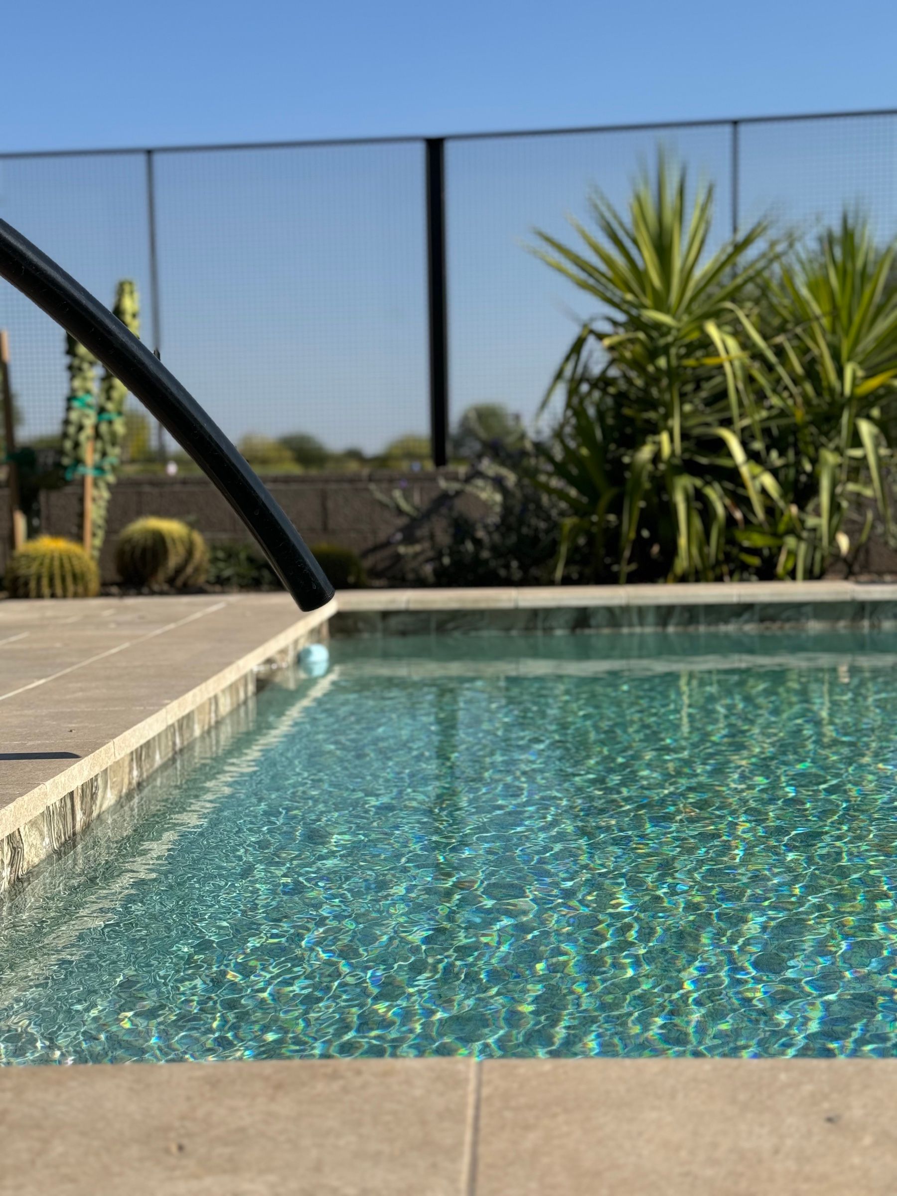 A clear backyard pool with desert plants along the deck in Carefree